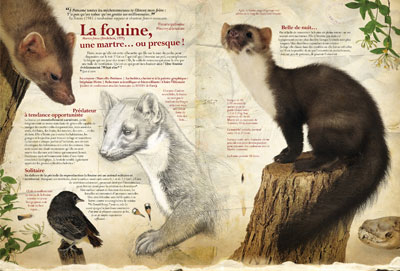 Nature proche