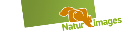 Festival Naturimages logo